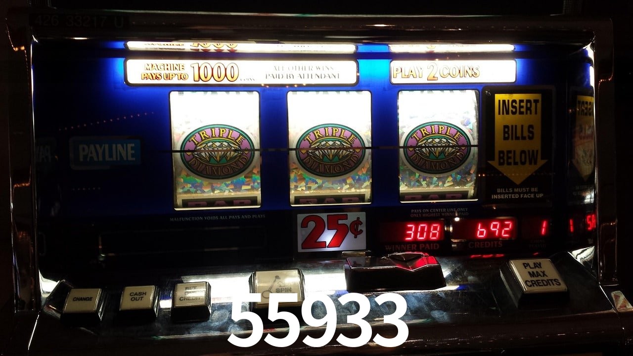 Experiência VIP 55933